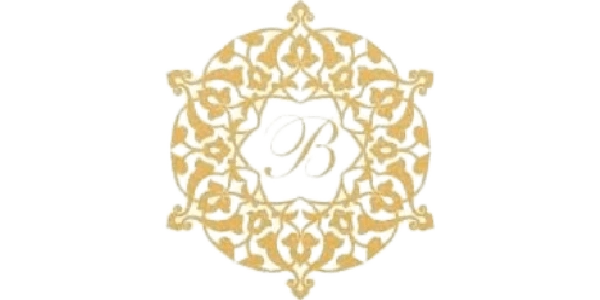 Bog‘izag‘on partner logo